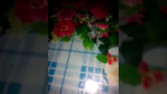 Показ карточек Покемон го