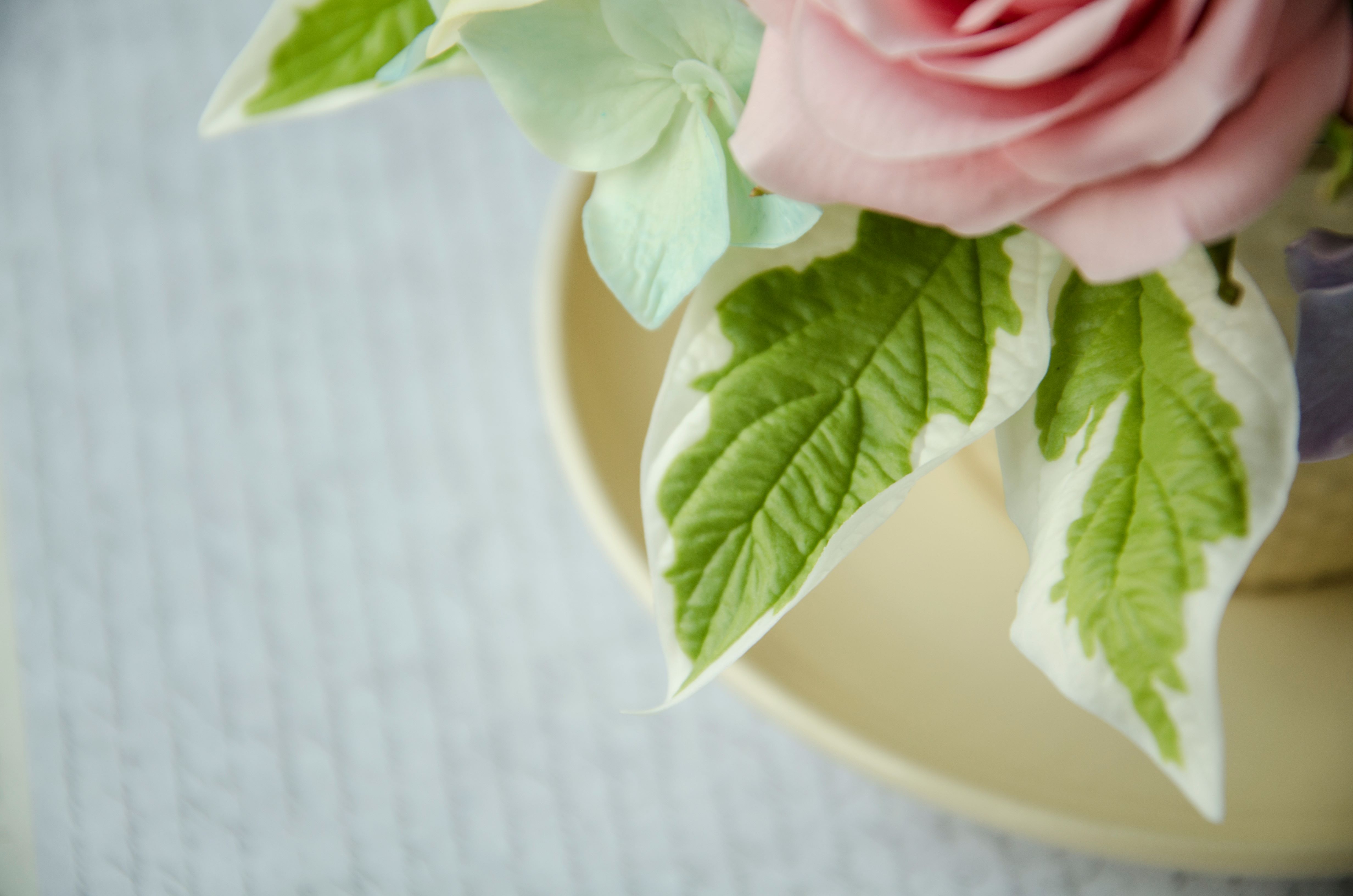 10a59412af7943b124d3b8d8d2405c29