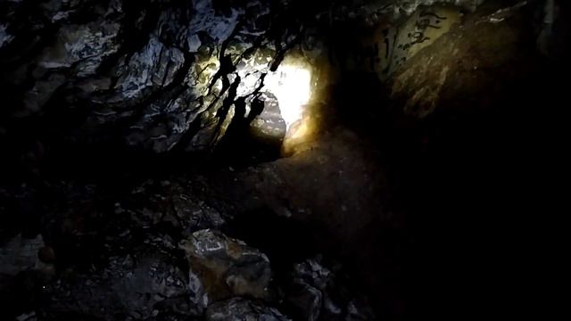 Летучие мыши в Саудовской Аравии