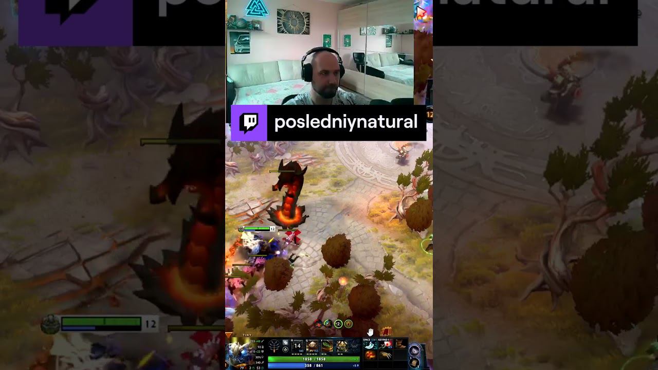 Самый верный зритель #dota 2 #дота 2 #Tiny