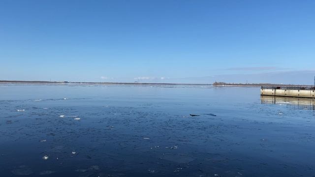 25 апреля 2022 год. Архангельск, район Красной пристани.