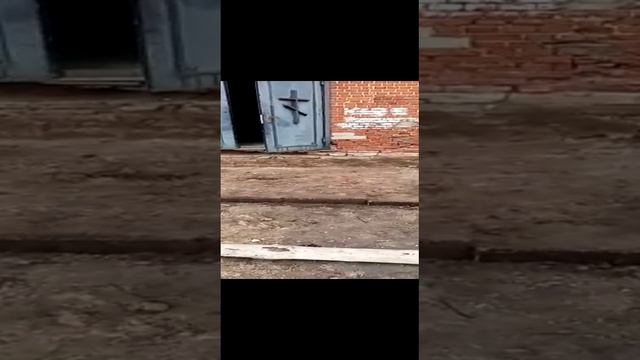 25 крыльцо.mp4