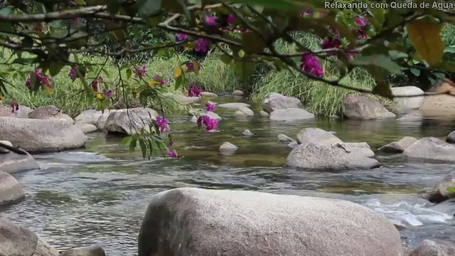 Música Clássica Para Focar E Meditar - Ave Maria - Schubert - Violino - Reflexão [Meditação]