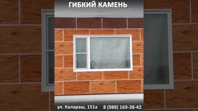 Гибкй капень в Лазаревском