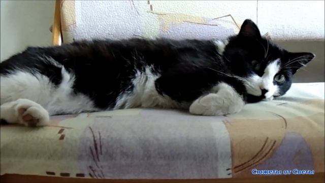 Котлетки с пюрешкой.