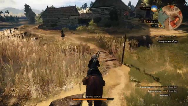 The Witcher 3 Wild Hunt  