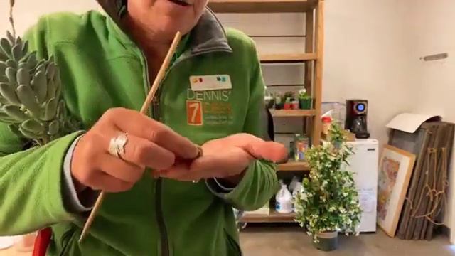 Ed6ac9f1d885f00a31efc0239594c9c9