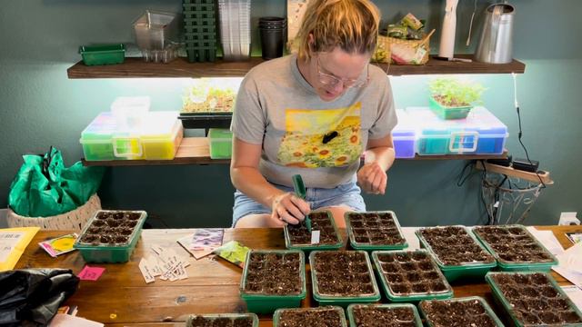 Starting Fall Annuals From Seed 🍂🍁 || Starting Seeds Indoor || Fall Garden Planting || Fall Seeds
