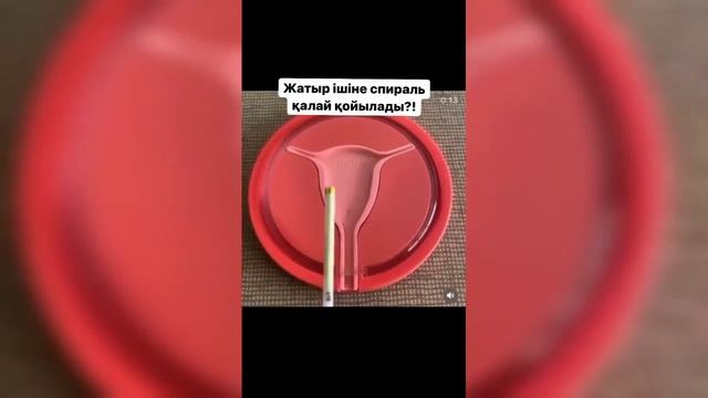 ҚАЛАЙ ЖҮКТІЛІКТЕН ҚОРҒАНАМЫН СПИРАЛЬ САЛСАМДА КӨТЕРІП ҚОИА БЕРЕМІН