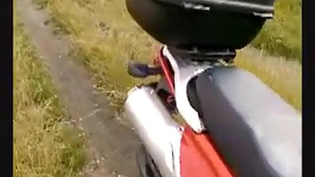 Suzuki Freewind Sound