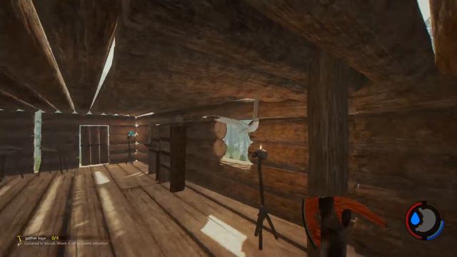 The Forest: I'M A BIRD TRAINER