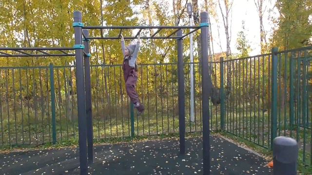 АЛЕШИНСКИЕ САДЫ ОСЕНЬЮ