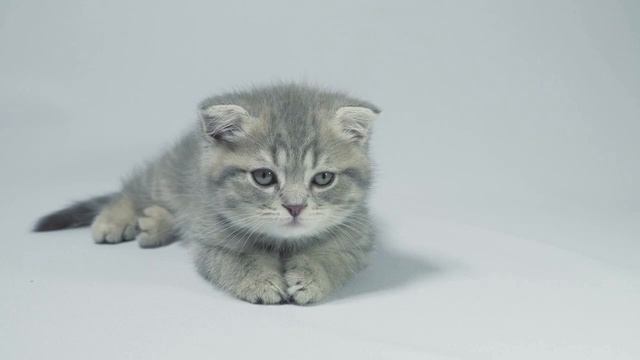 Сосед попросился ко мне в квартиру, чтобы устроить засаду на собственную жену