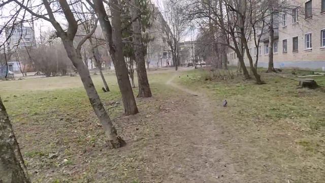 Камера Redmi Note 9S / Note 9 Pro Full HD 60 FPS