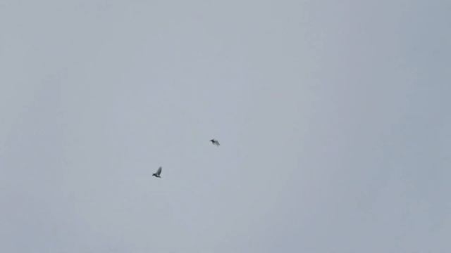 B8b69615416fe23d6c662987d8ae1ec0