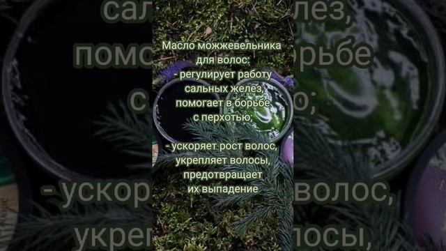 Натуральное зеленое мыло для тела и волос с эфирным маслом можжевельникаДля бани и душа.