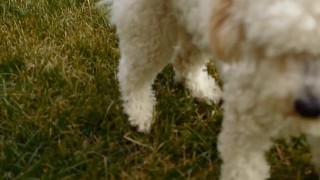 Panasonic Lumix DMC-LX7 Silent Slomo Test