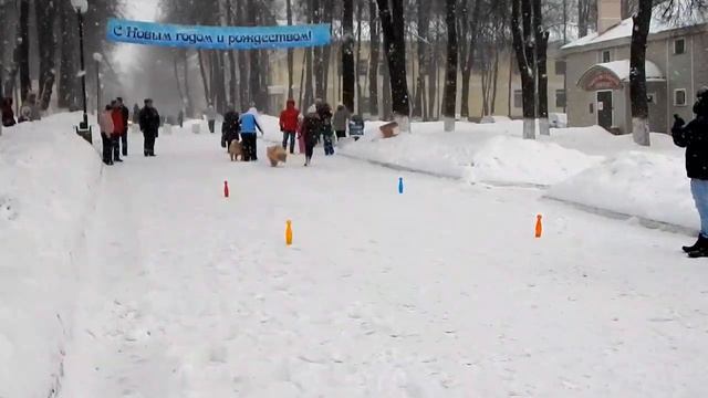 3 Нери и Вини. Рождественский забег.