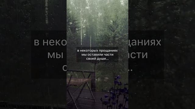 и это правда… #грусть #муд #вайб #любовь #настроение