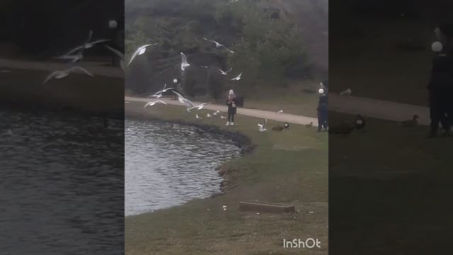 Где жить в Краснодаре