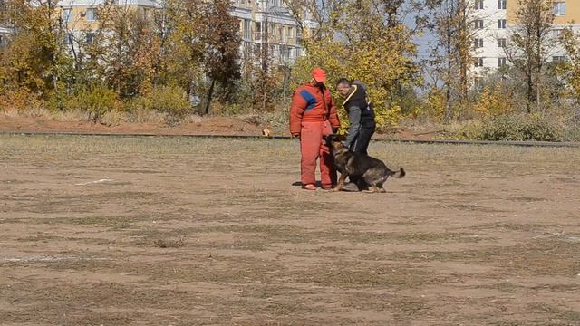 Саша и Фидж третье упражнение