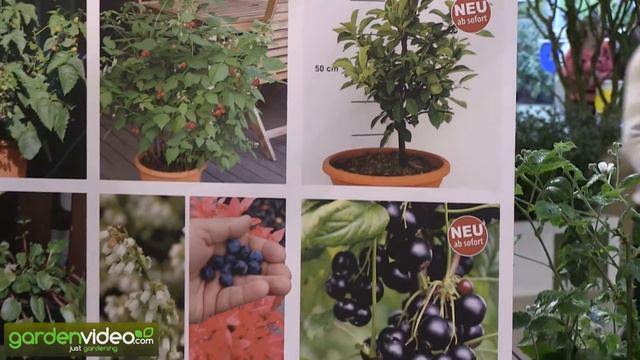 58d11fad6885ffa2b038fc352df89375