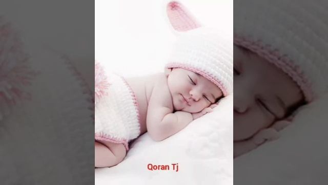 D8c17fff0f2914264657a20ef230dae1