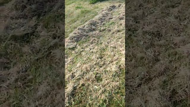 Stiga Sv415e чистка газона