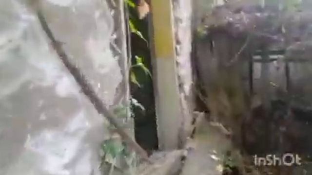 Ee2cc5f7037ba287ab6a90b543232120