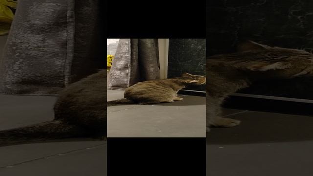 Новая Вкусняшка пришлась по вкусу только старшему, а мелкая просто в шоке?????