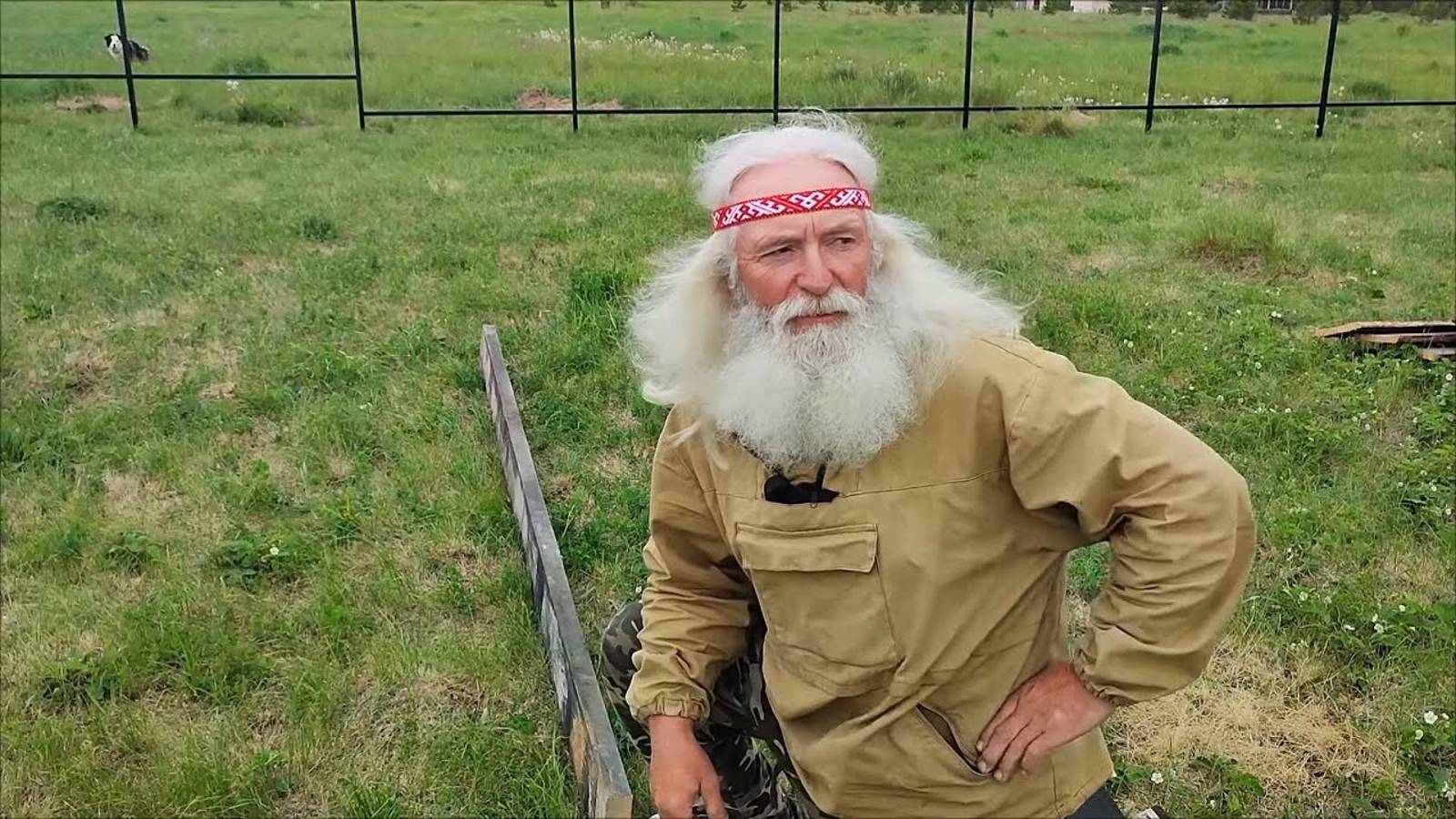 Строю временный курятник из подручных материалов