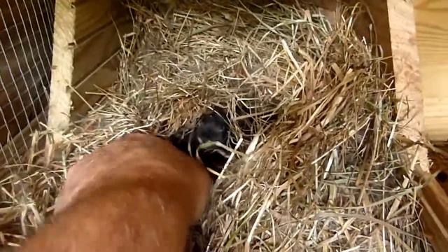 5172b91d93cf0267a22382ab5903475e