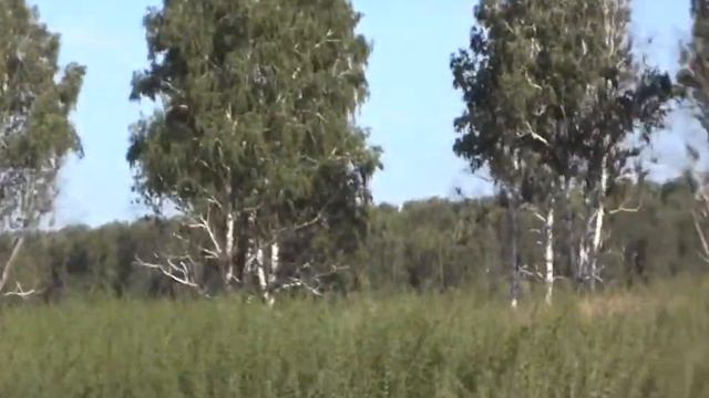 Поклонный крест в д. Веснина. Вид с дороги