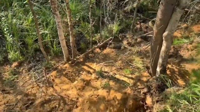 МЕТАЛО КОП НА УЖД  ОСТАТКИ ТОГО ВРЕМЕНИ