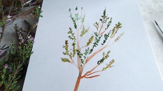 9c7a9804b77a855882b2025f648250d6