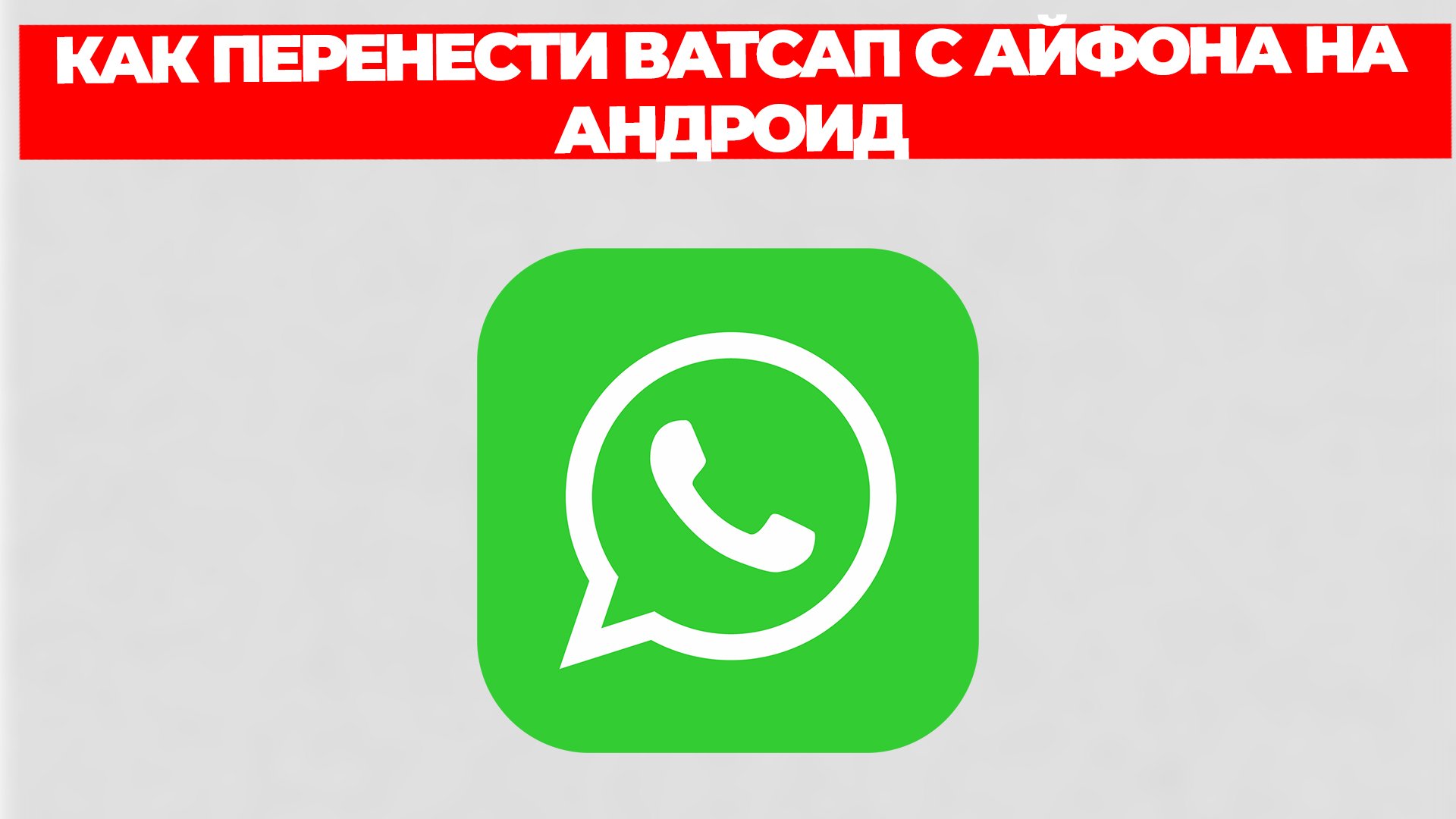 КАК ПЕРЕНЕСТИ ВАТСАП С АЙФОНА НА АНДРОИД