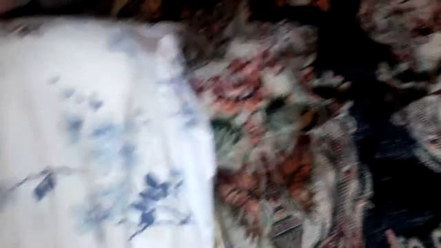 7043c4316688928dc4537483b225f270