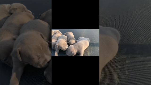 A4e59e6234e62e40733c684ad9c54028