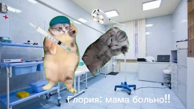 Cc53edae09188aa77887a82db18d1067