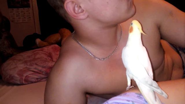 A73df3734202c209434f293ad9865aa8