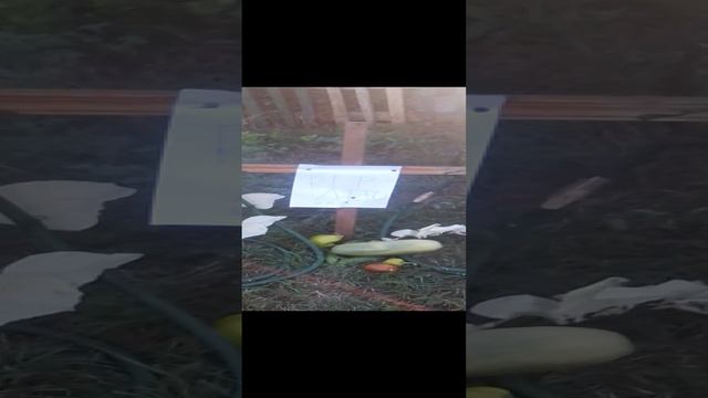 ну лето скоро бай бай