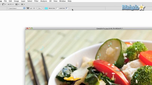 Learn Adobe Photoshop - Count Tool