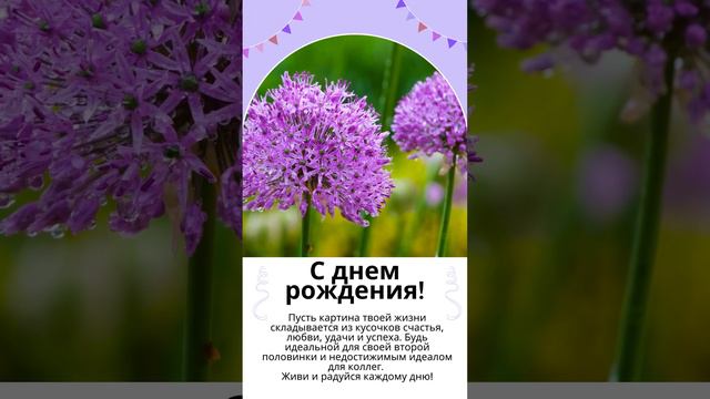 С днем рождения, Альбина!