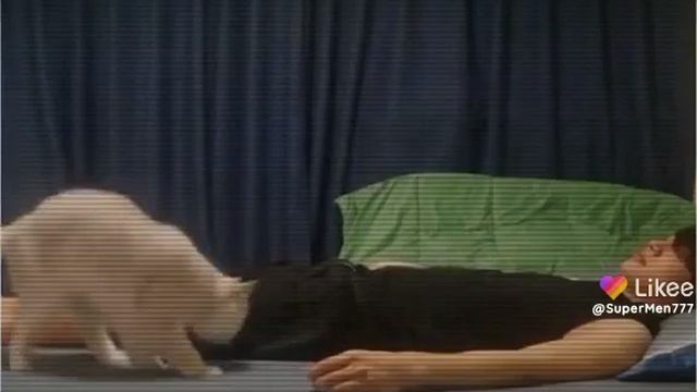 B2994888fca723f87c2f1c3dd1fb8678