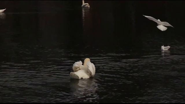 09c8ce9517593c4f827ee89518f3f626