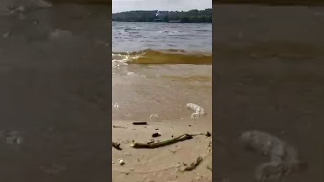 Волны Днепр