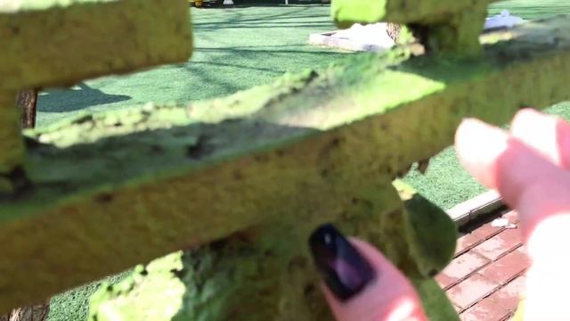 АСМР |Камера |Постукивание |Без слов |ASMR |Camera |Tapping |No Talking