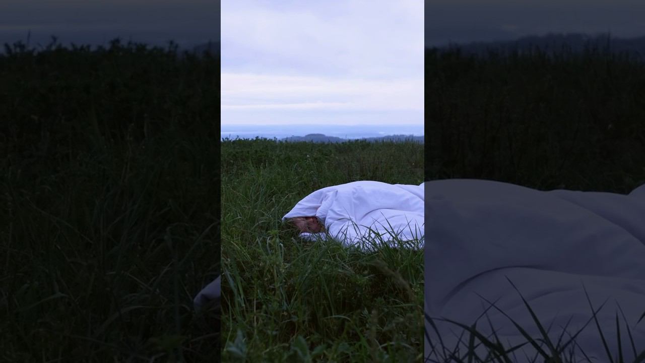 Работа студента курса «УВИДЬ. СНИМИ. СМОНТИРУЙ.» #видеограф #монтажвидео #кино #reels #искусство