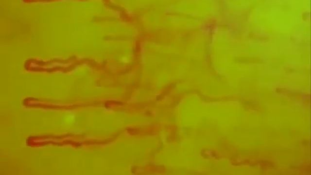 5ad10d442348d47973aab97d6e4283d6