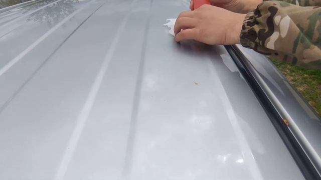 КАК ОЧИСТИТЬ КУЗОВ ОТ ТОПОЛИНЫХ ПОЧЕК